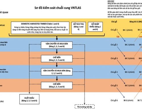 Các điểm kiểm soát quan trọng trong chuỗi cung ứng của VNTLAS